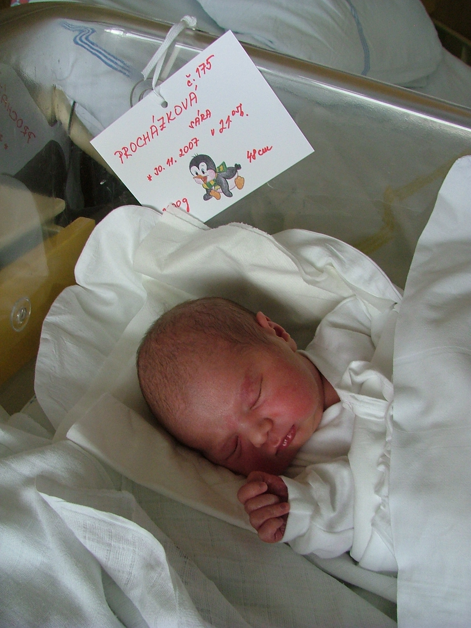 DSCF9162.JPG
