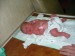 DSCF9192.JPG
